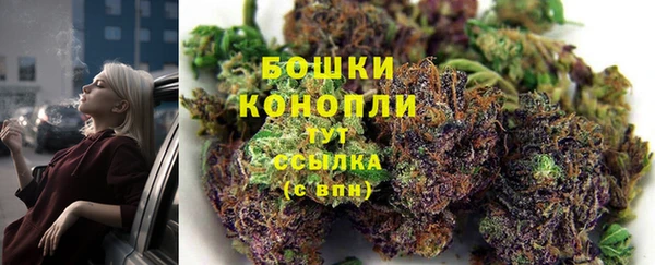 соль ск Горно-Алтайск